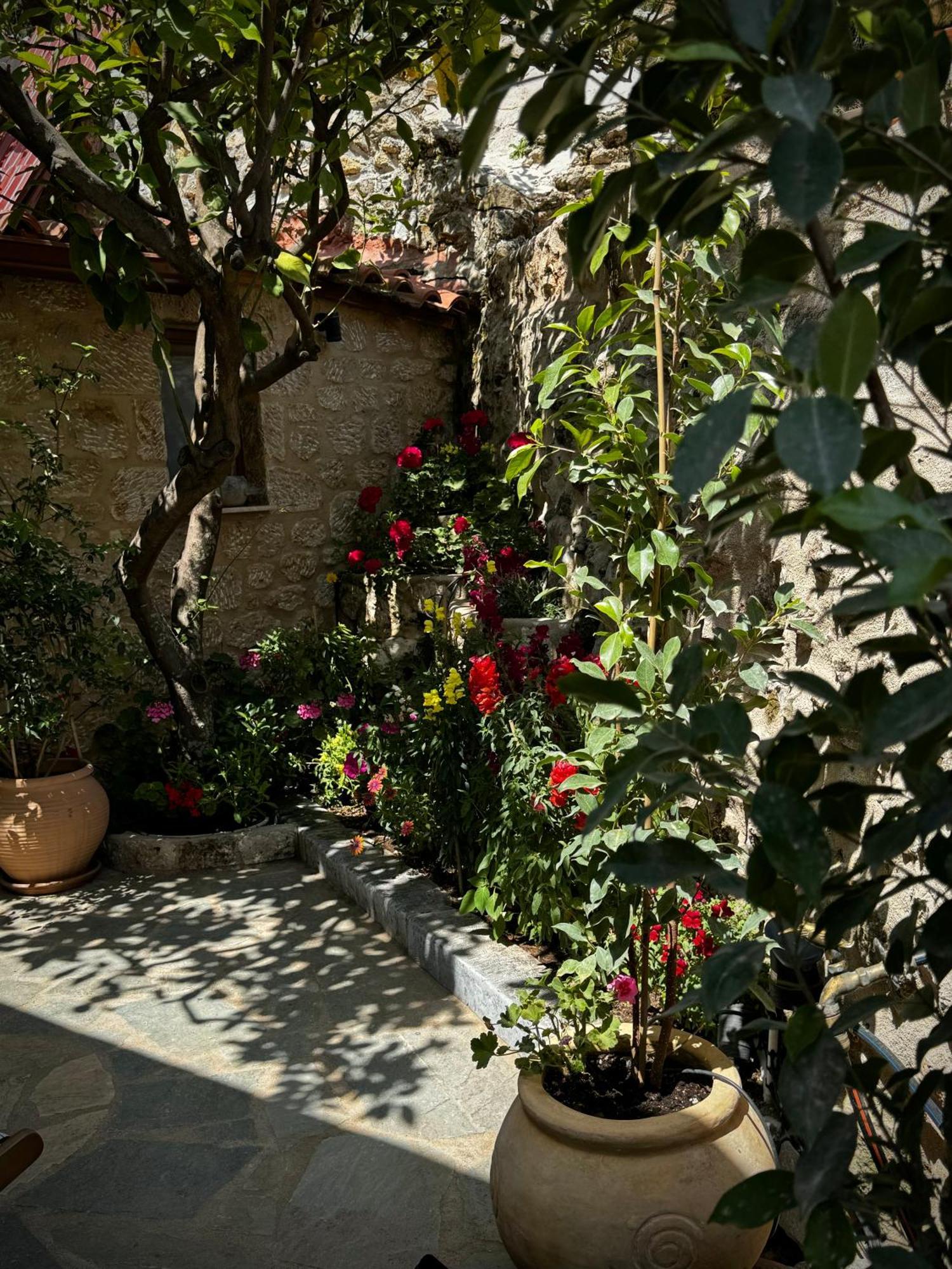 Villa Jasmine Stoúpa Extérieur photo